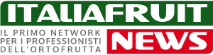 logo IFN