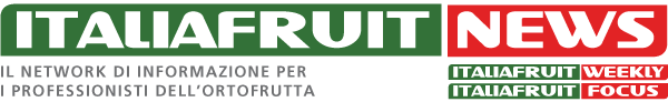 logo ifn
